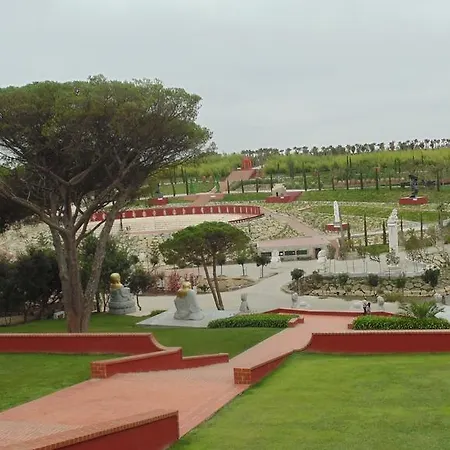 Surf And Stones Daire Peniche
