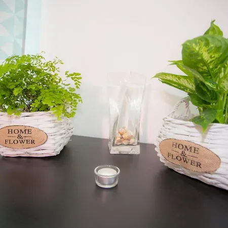 Surf And Stones Peniche