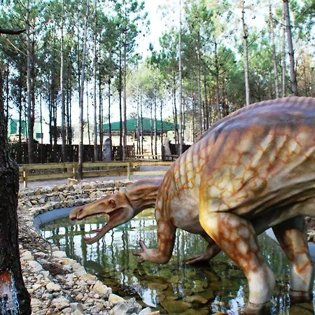 شقة Surf And Stones